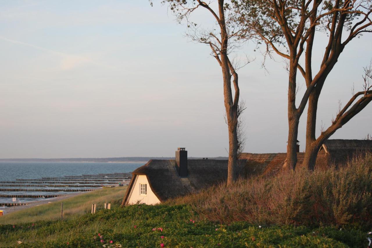 Dat Dardel Hus Born Kültér fotó